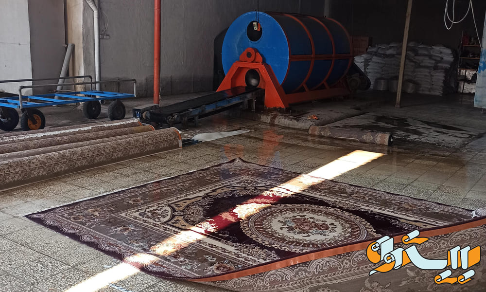 تصویر فرش دار قالی شویی